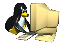 Penguin typing on a computer